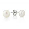 Pearl Stud earrings