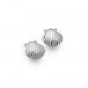 Seashell earrings