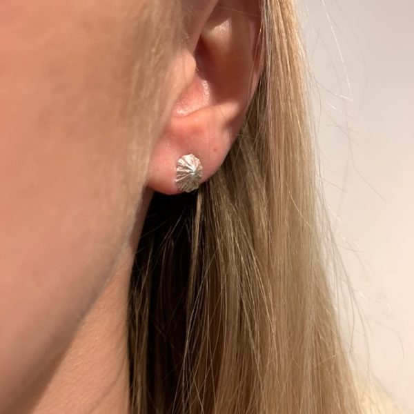 Silver Limpet Shell Earrings - Image 2