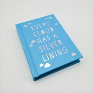 Silver Lining book