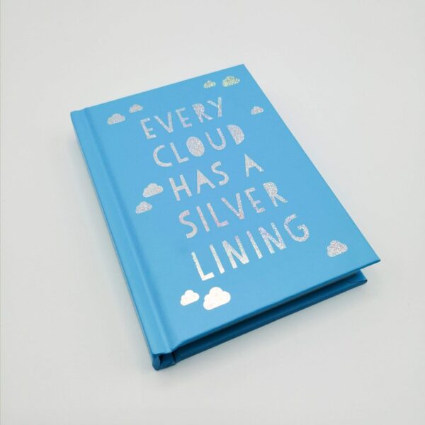 Silver Lining book