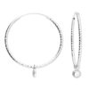 Silver Hoop earrings