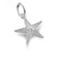 Starfish Charm