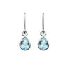 Blue Topaz Drop Earrings