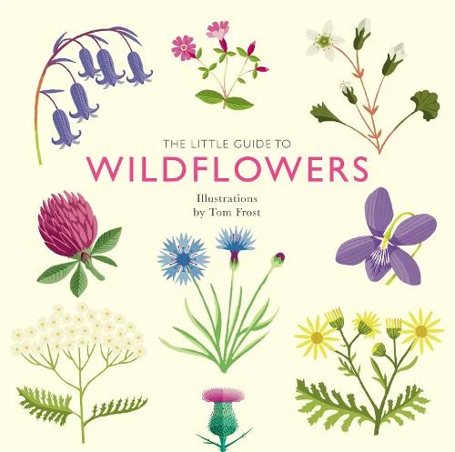 Illustrated Book Of Wild Flowers By Kvetoslav Hisek – Hardback Nature Guide