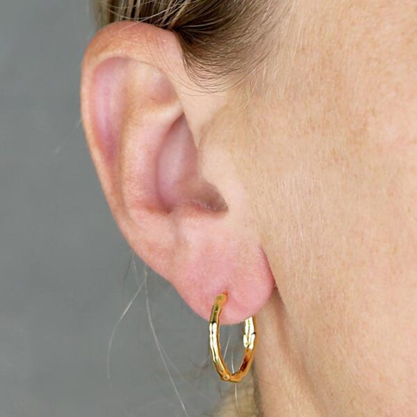 Gold hoops